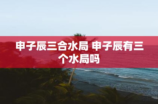 申子辰三合水局 申子辰有三个水局吗