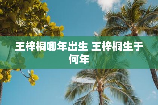 王梓桐哪年出生 王梓桐生于何年