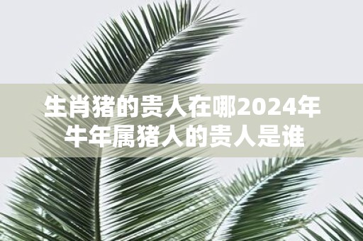 生肖猪的贵人在哪2025年 牛年属猪人的贵人是谁