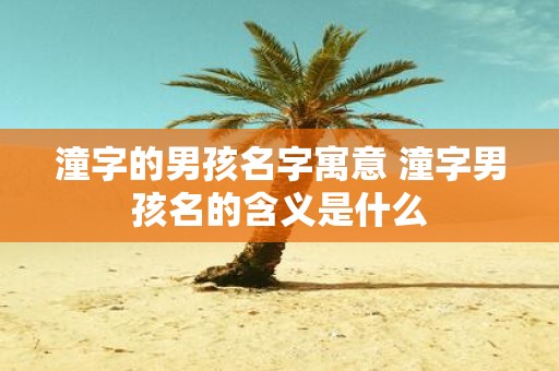 潼字的男孩名字寓意 潼字男孩名的含义是什么