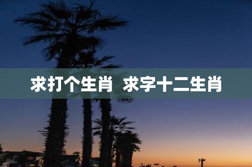 求打个生肖 求字十二生肖