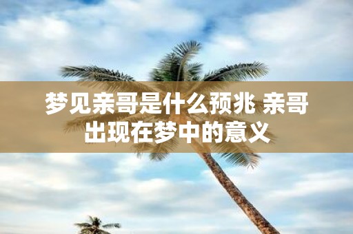 梦见亲哥是什么预兆 亲哥出现在梦中的意义