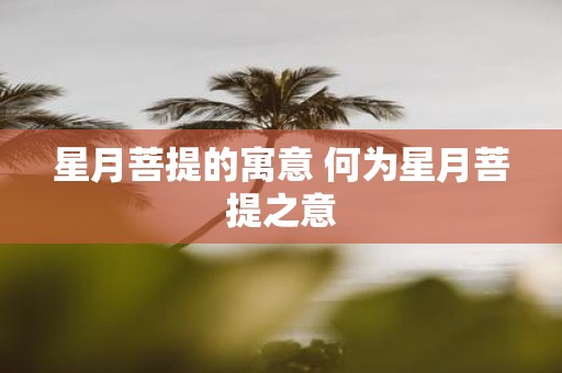 星月菩提的寓意 何为星月菩提之意