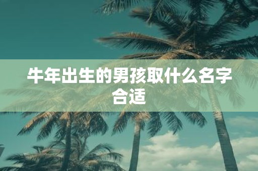 牛年出生的男孩取什么名字合适