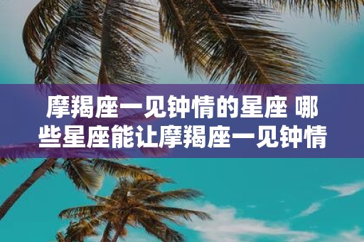 摩羯座一见钟情的星座 哪些星座能让摩羯座一见钟情