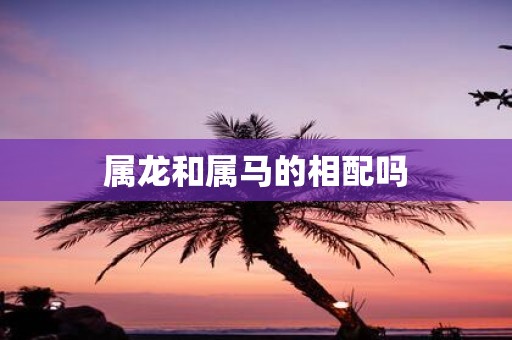 属龙和属马的相配吗