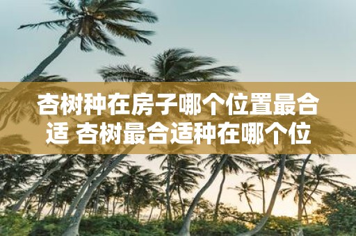 杏树种在房子哪个位置最合适 杏树最合适种在哪个位置