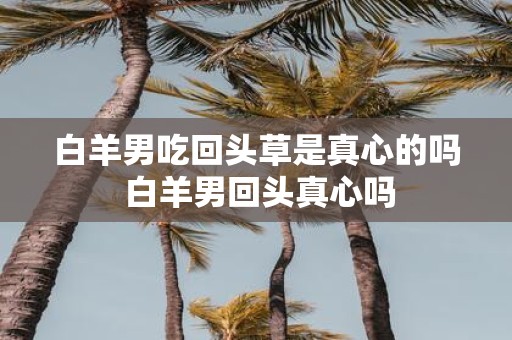 白羊男吃回头草是真心的吗 白羊男回头真心吗