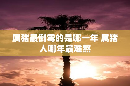 属猪最倒霉的是哪一年 属猪人哪年最难熬