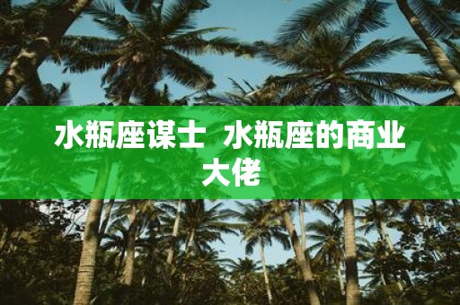 水瓶座谋士 水瓶座的商业大佬