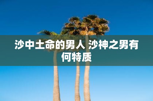 沙中土命的男人 沙神之男有何特质