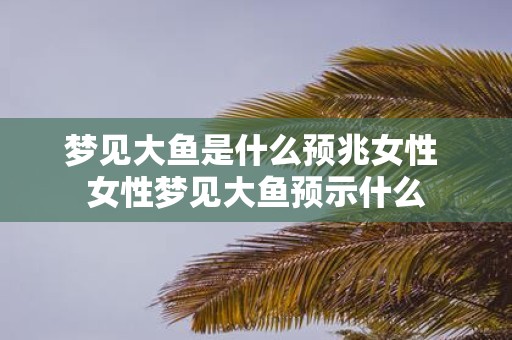 梦见大鱼是什么预兆女性 女性梦见大鱼预示什么