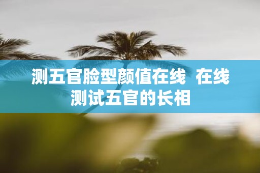 测五官脸型颜值在线 在线测试五官的长相