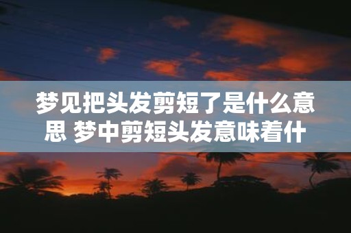 梦见把头发剪短了是什么意思 梦中剪短头发意味着什么