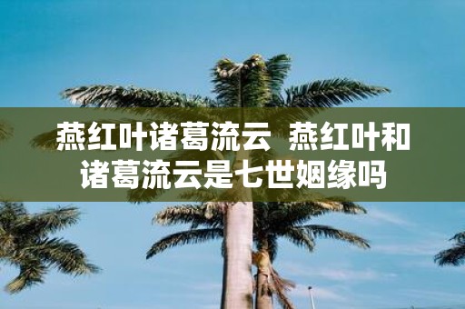 燕红叶诸葛流云 燕红叶和诸葛流云是七世姻缘吗