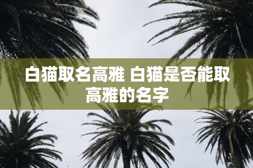 白猫取名高雅 白猫是否能取高雅的名字