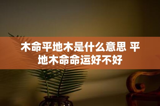 木命平地木是什么意思 平地木命命运好不好