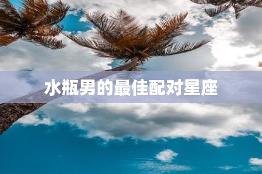 水瓶男的最佳配对星座