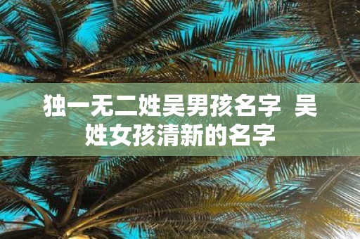 独一无二姓吴男孩名字 吴姓女孩清新的名字