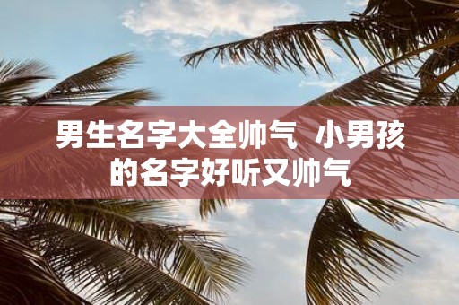 男生名字大全帅气 小男孩的名字好听又帅气