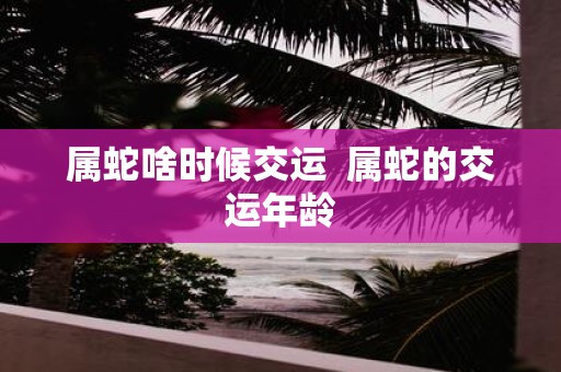 属蛇啥时候交运 属蛇的交运年龄