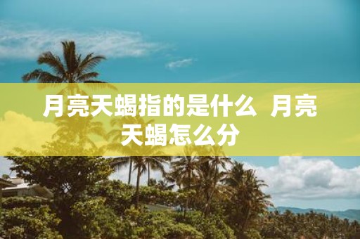 月亮天蝎指的是什么 月亮天蝎怎么分