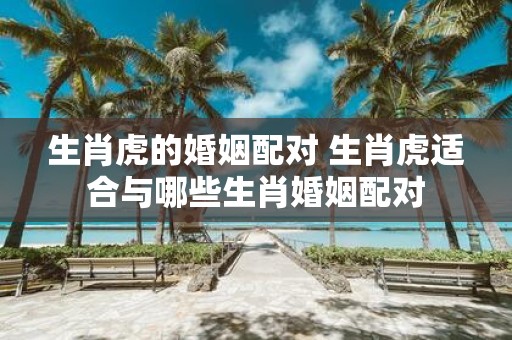 生肖虎的婚姻配对 生肖虎适合与哪些生肖婚姻配对