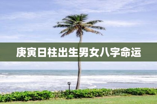 庚寅日柱出生男女八字命运