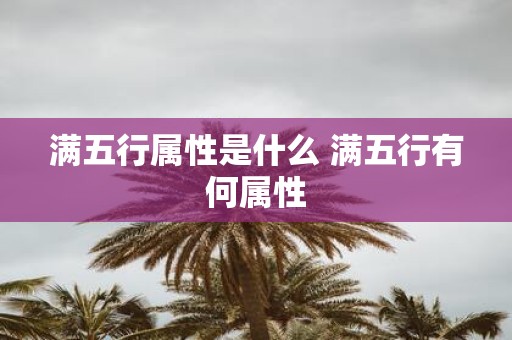 满五行属性是什么 满五行有何属性