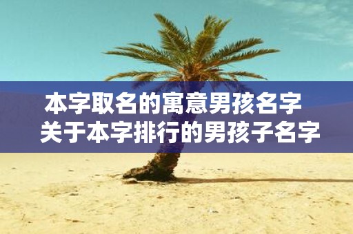 本字取名的寓意男孩名字 关于本字排行的男孩子名字