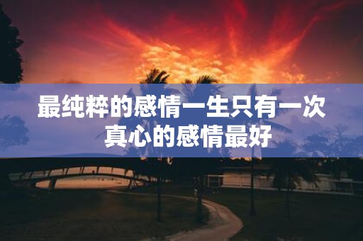 最纯粹的感情一生只有一次 真心的感情最好