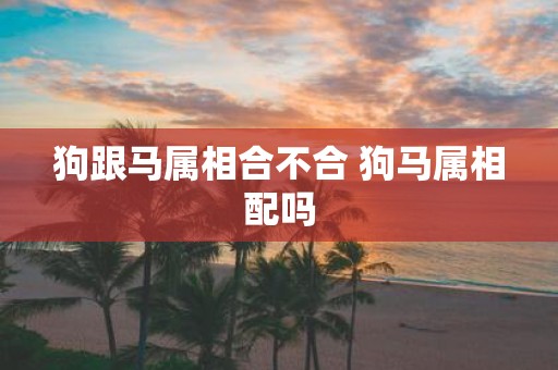狗跟马属相合不合 狗马属相配吗