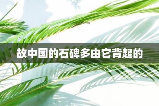 故中国的石碑多由它背起的