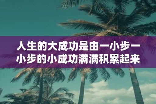 人生的大成功是由一小步一小步的小成功满满积累起来的