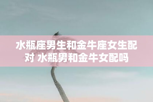 水瓶座男生和金牛座女生配对 水瓶男和金牛女配吗