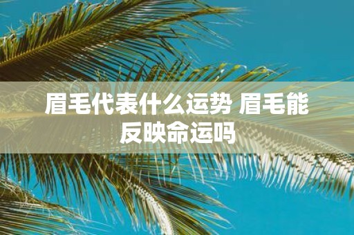 眉毛代表什么运势 眉毛能反映命运吗