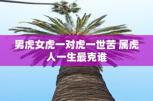 男虎女虎一对虎一世苦 属虎人一生最克谁