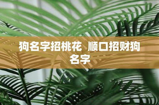狗名字招桃花 顺口招财狗名字