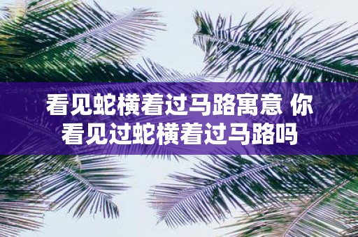 看见蛇横着过马路寓意 你看见过蛇横着过马路吗