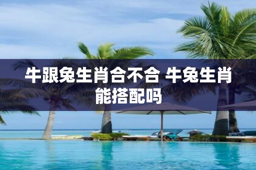 牛跟兔生肖合不合 牛兔生肖能搭配吗