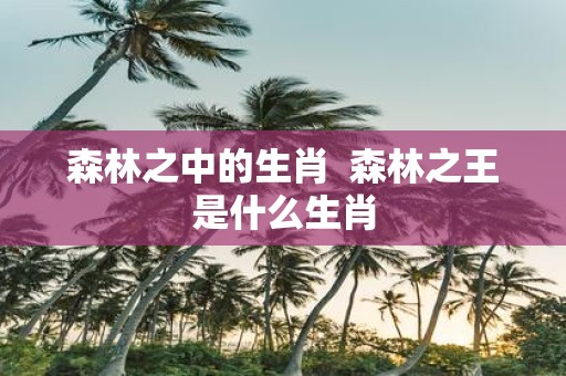 森林之中的生肖 森林之王是什么生肖