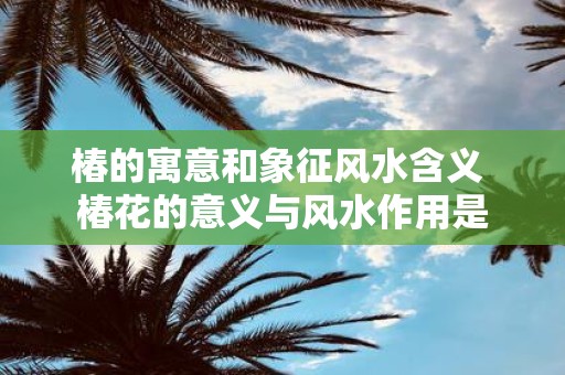 椿的寓意和象征风水含义 椿花的意义与风水作用是