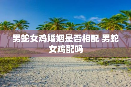 男蛇女鸡婚姻是否相配 男蛇女鸡配吗