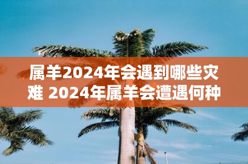 属羊2025年会遇到哪些灾难 2025年属羊会遭遇何种灾难