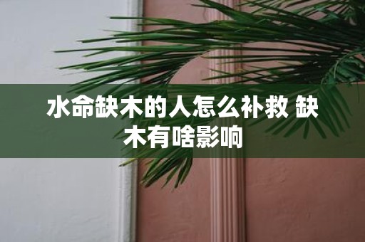 水命缺木的人怎么补救 缺木有啥影响