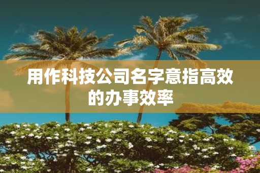 用作科技公司名字意指高效的办事效率
