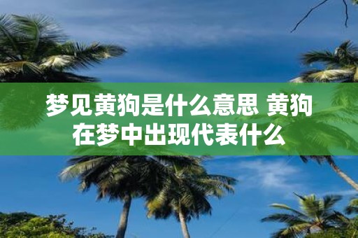 梦见黄狗是什么意思 黄狗在梦中出现代表什么