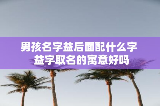 男孩名字益后面配什么字 益字取名的寓意好吗