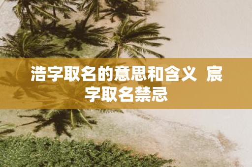 浩字取名的意思和含义 宸字取名禁忌