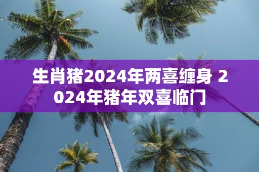 生肖猪2025年两喜缠身 2025年猪年双喜临门